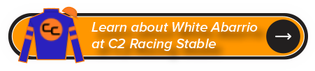 C2 Racing Stable Banner